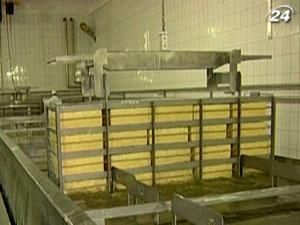 Украинским сыром накормят Китай и Африку