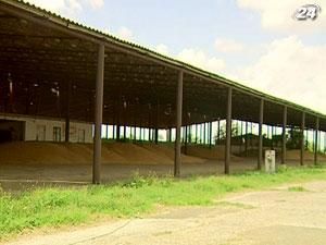 Аграрний фонд закупить 2 млн. т пшениці і 400 тис. т цукру Аграрний фонд закупить 2 млн. т пшениці і 400 тис. т цукру