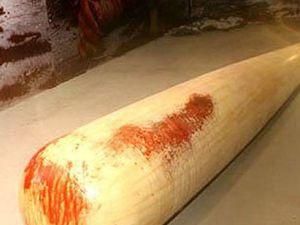 В Севастополе задержали наркоманов, ограбивших АЗС В Севастополе задержали наркоманов, ограбивших АЗС