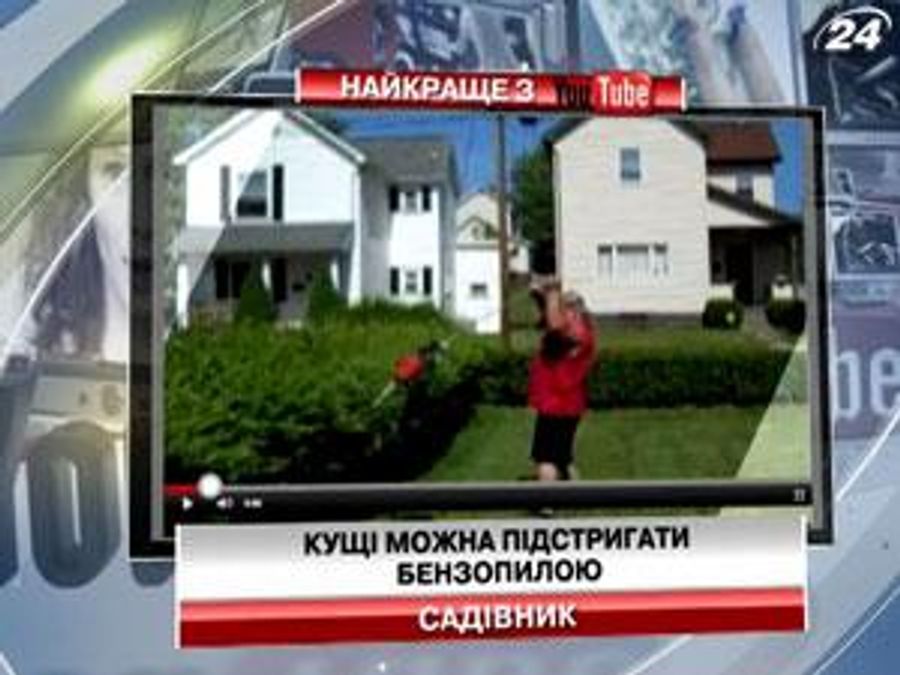 Подстригать кусты на аккумуляторе Подстригать кусты на аккумуляторе