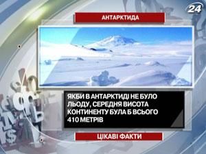 Цікаві факти про Антарктиду 