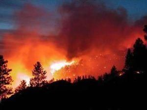 В Іспанії сильні лісові пожежі