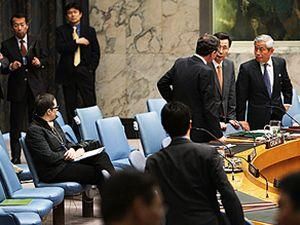 Північні і південні корейці побилися на засіданні ради ООН