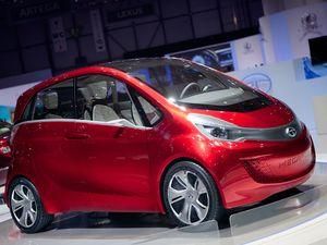 Индийцы привезли в Женеву автомегапиксель Индийцы привезли в Женеву автомегапиксель