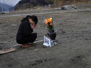 Цунами высотой 10 сантиметров уже ударило по побережью Японии Цунами высотой 10 сантиметров уже ударило по побережью Японии