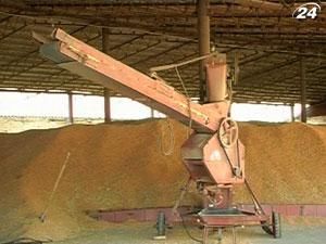 Чикагская биржа в мае начнет торговать украинским зерном Чикагская биржа в мае начнет торговать украинским зерном