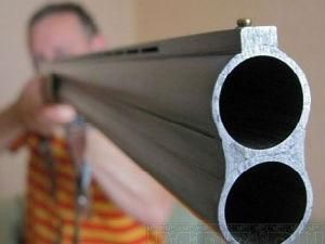 Росія: Вітчим застрелив пасинка за гру на комп'ютері Росія: Вітчим застрелив пасинка за гру на комп'ютері