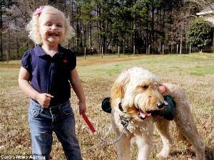 Американская собака ежедневно спасает жизнь своей хозяйке Американская собака ежедневно спасает жизнь своей хозяйке