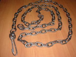 В Крыму задержали гражданина Беларуси, который заковал своего сына цепью В Крыму задержали гражданина Беларуси, который заковал своего сына цепью