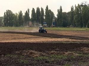 Аграрии посеяли 32 тыс. т ранних зерновых Аграрии посеяли 32 тыс. т ранних зерновых