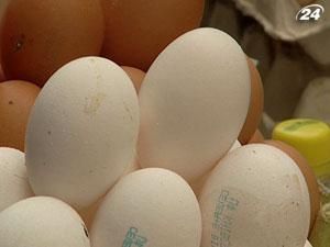 Производители куриных яиц снижают цены на свою продукцию