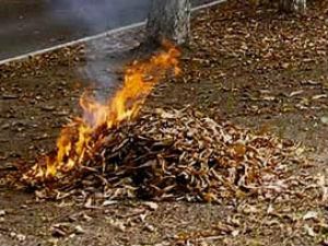 Ровно: пенсионер обгорел на 70%, когда сжигал мусор