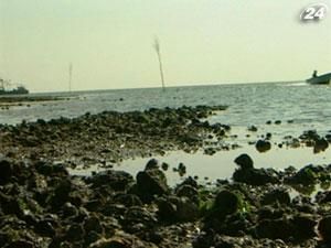 Морские миграции нарушают эко-баланс на планете Морские миграции нарушают эко-баланс на планете