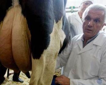 Литвин стурбований станом поголів'я худоби