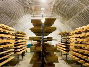 Сегодня проверят украинских сырных производителей