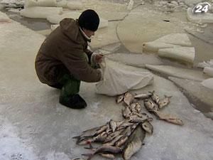 Массовой гибели рыбы чиновники не ожидают