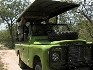Для экскурсий в национальном парке ЮАР используют Land Rover