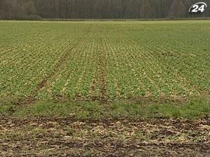 Земля даст около половины инвестиций в агросектор Земля даст около половины инвестиций в агросектор