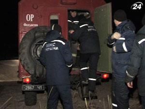 Дельфіни та морські свині врятувались з крижаної пастки Дельфіни та морські свині врятувались з крижаної пастки