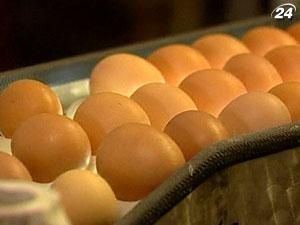 Напередодні Великодня в Євросоюзі виник дефіцит курячих яєць