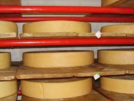 Эксперт: Россияне не нашли нарушений в производстве украинских сыров