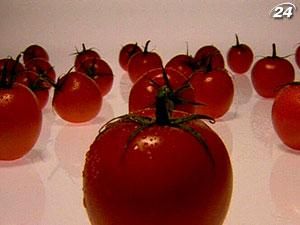 Ученые превратили обычный помидор в хай-тек продукт