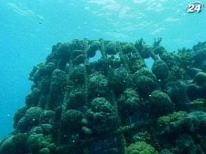 Ученые на Мальдивах будут восстанавливать коралловые рифы