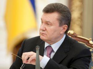 Freedom House: Янукович начал кампанию по уничтожению оппозиции