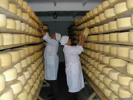 Україна запевняє, що росіяни залишилися задоволені перевіреним сиром Україна запевняє, що росіяни залишилися задоволені перевіреним сиром