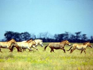 1 квітня. День в історії - 1 квітня 2012 - Телеканал новин 24 1 квітня. День в історії - 1 квітня 2012 - Телеканал новин 24