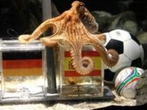 Предсказанием результатов Евро-2012 будет заниматься осьминог
