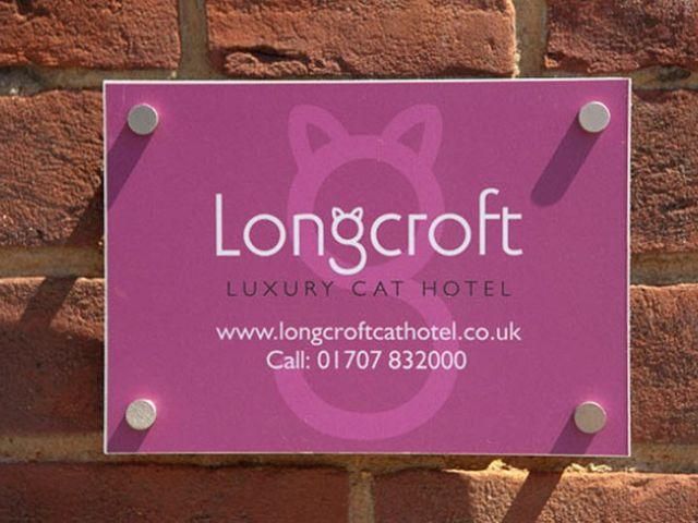 В Англии открыли отель класса люкс для котов В Англии открыли отель класса люкс для котов