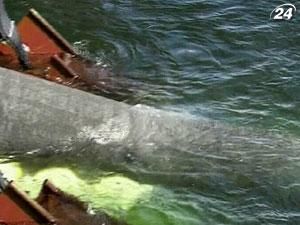 Россия снизит цену на газ для Болгарии на 11% Россия снизит цену на газ для Болгарии на 11%