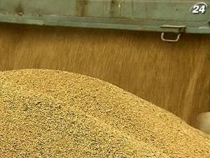 Аграрный фонд Украины начал форвардные закупки зерна