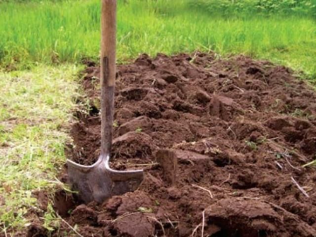 Правительство хочет увеличить для предпринимателей плату за использование земли Правительство хочет увеличить для предпринимателей плату за использование земли