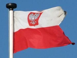 Українці подали близько тисячі заявок на легалізацію в Польщі