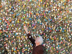 У Німеччині пенсіонер прикрасив дерево 10 тисячами великодніх яєць