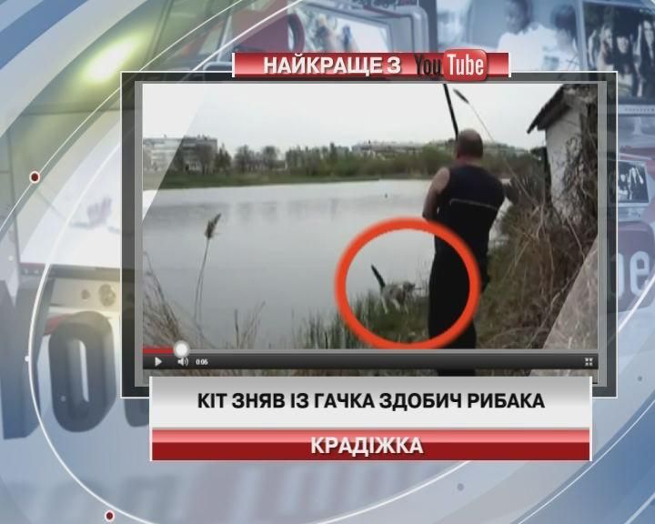 Кіт зняв із гачка здобич рибака