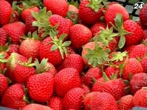 Підсумок тижня: Україна все менше купує фрукти за кордоном Підсумок тижня: Україна все менше купує фрукти за кордоном