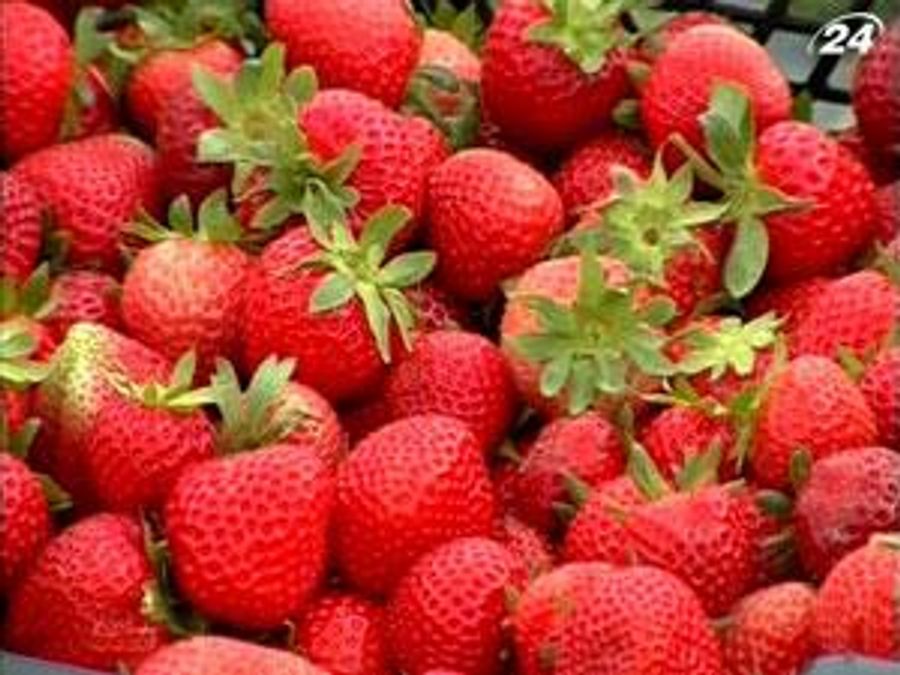 Підсумок тижня: Україна все менше купує фрукти за кордоном Підсумок тижня: Україна все менше купує фрукти за кордоном