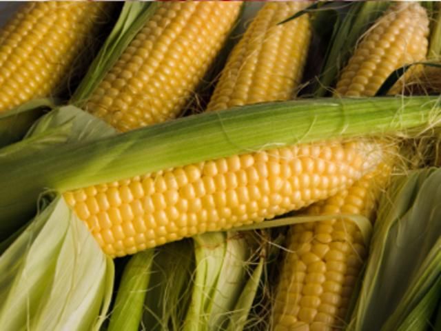 Китай закупив першу партію українського зерна