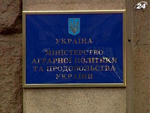 Мінагропрод розраховує експортувати 7 млн т зернових Мінагропрод розраховує експортувати 7 млн т зернових
