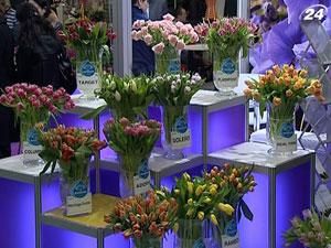 Флористи скорочують бізнес через проблеми з квітами в Нідерландах