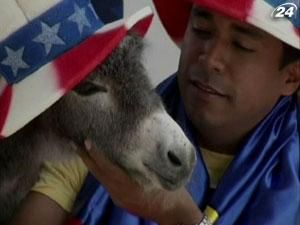 Колумбійські фани Барака Обами подарують йому осла Колумбійські фани Барака Обами подарують йому осла