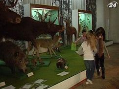 В Донецком краеведческом музее теперь можно бегать, кричать и касаться экспонатов руками