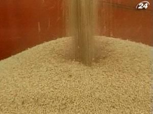 Мировые цены на пшеницу в 2012 году снизятся Мировые цены на пшеницу в 2012 году снизятся