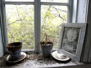 Заброшенные села в Беларуси стоит 12 долларов Заброшенные села в Беларуси стоит 12 долларов