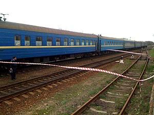 Із потягу "Миколаїв—Москва" евакуювали пасажирів через підозрілу сумку