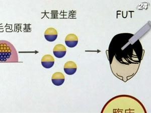 Японські вчені перетворили стовбурові клітини на волосся