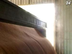 В США начнут торговлю фьючерсами на украинскую пшеницу В США начнут торговлю фьючерсами на украинскую пшеницу